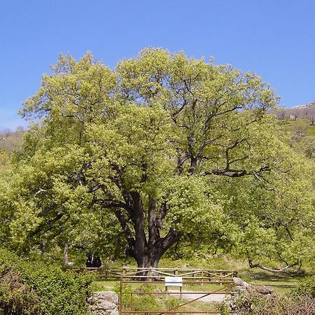 Casa Rural Romanejo Cabezabellosa Екстериор снимка