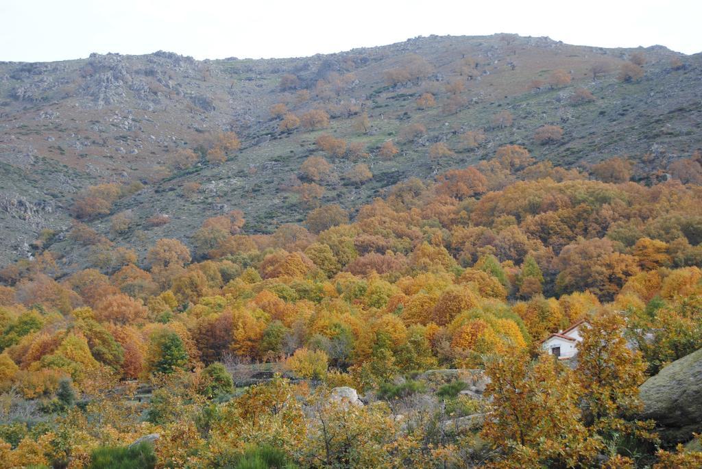 Casa Rural Romanejo Cabezabellosa Екстериор снимка