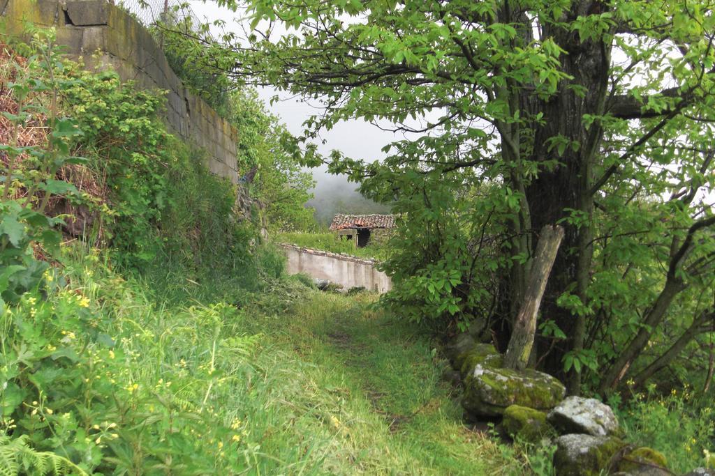 Casa Rural Romanejo Cabezabellosa Екстериор снимка